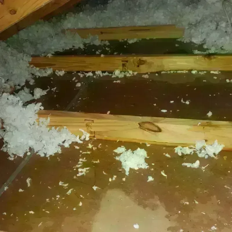 Attic Water Damage in Fort Ashby, WV